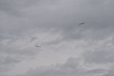 DSC_7188