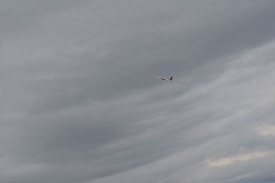 DSC_7194