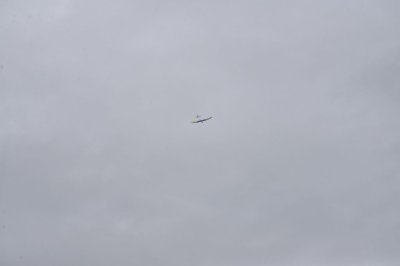 DSC_7264