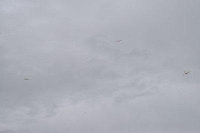 DSC_7266