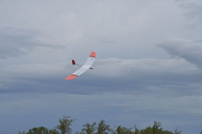 DSC_7275
