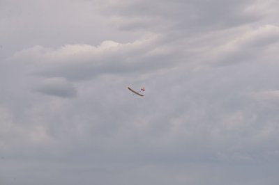 DSC_7313