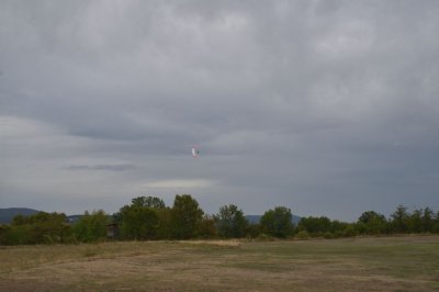 DSC_7349