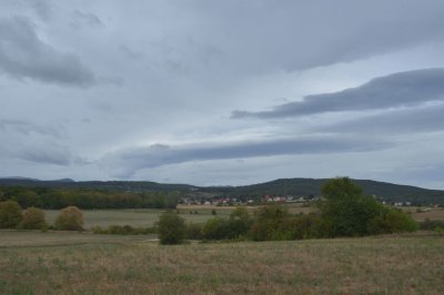 DSC_7374