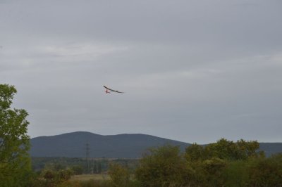 DSC_7379