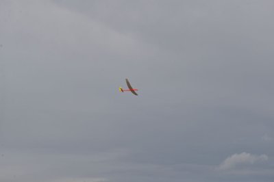 DSC_7386