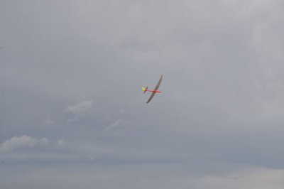 DSC_7387