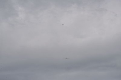 DSC_7401