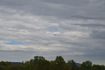 DSC_7409
