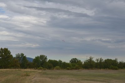 DSC_7410