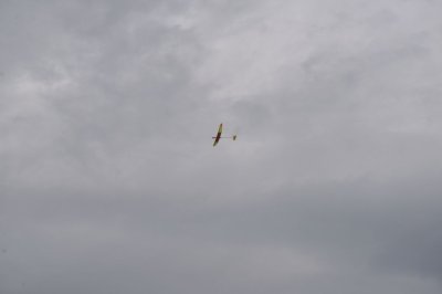 DSC_7421
