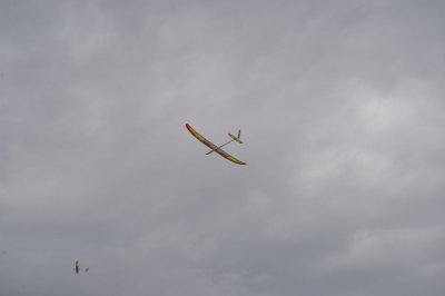 DSC_7442