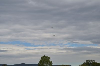 DSC_7447