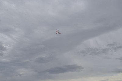 DSC_7491