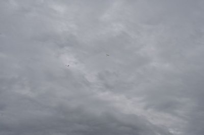 DSC_7492