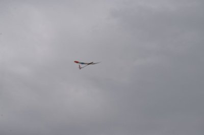 DSC_7501