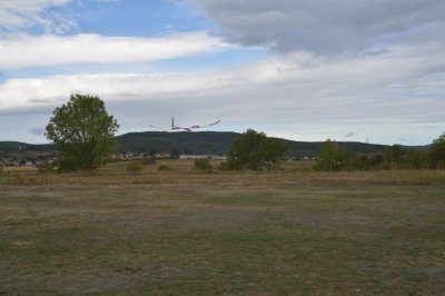 DSC_7525