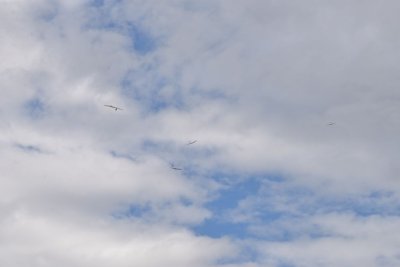 DSC_7553