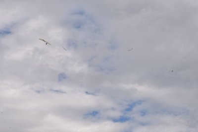 DSC_7557