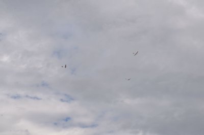 DSC_7560