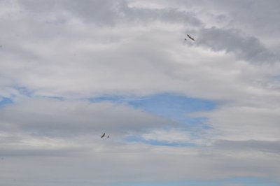 DSC_7568