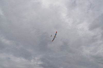 DSC_7572