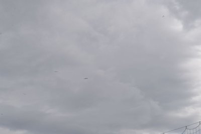 DSC_7576