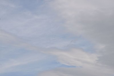 DSC_7609