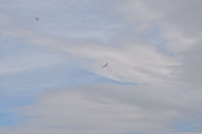 DSC_7613