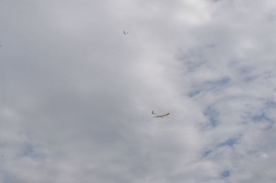 DSC_7628
