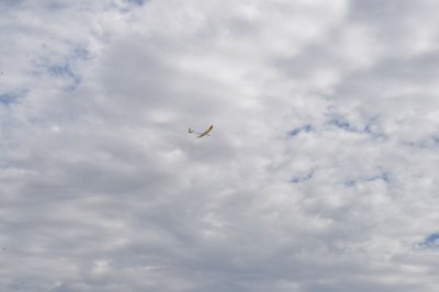 DSC_7629