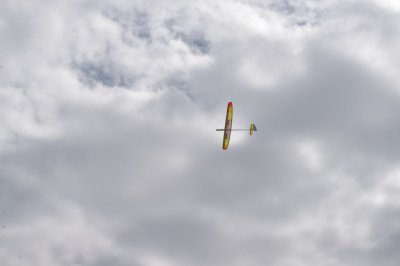 DSC_7631