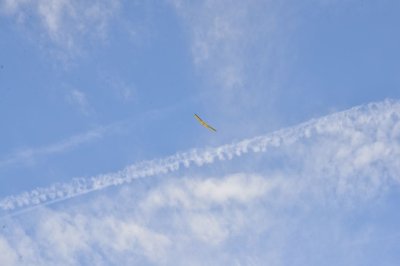 DSC_7649