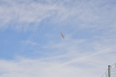 DSC_7650