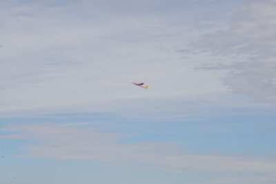 DSC_7651