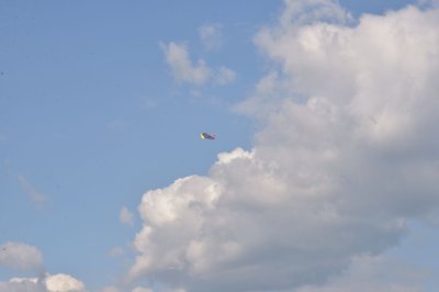 DSC_7787
