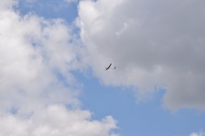 DSC_7817