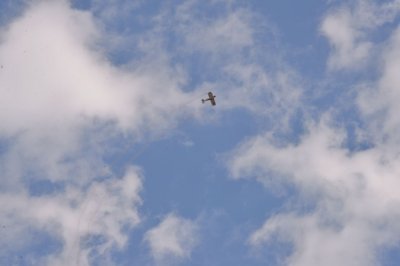 DSC_7874