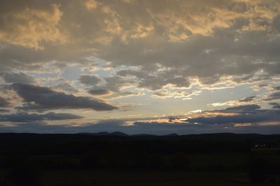 DSC_7924